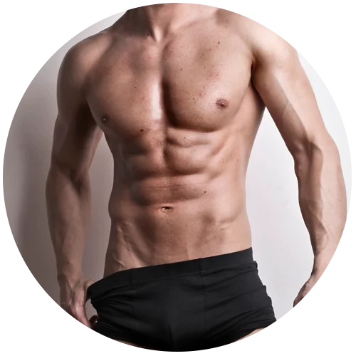 Torso completo